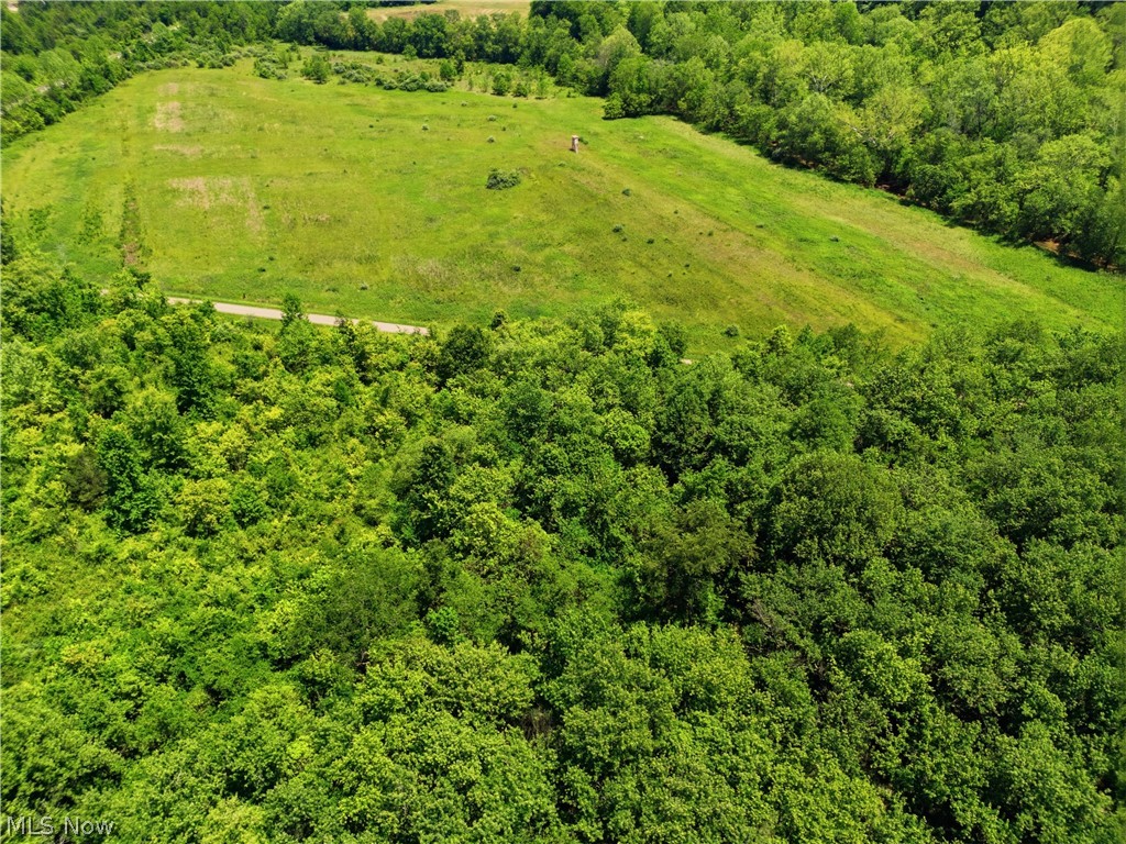 0 Wells Road Middleport, OH 45760 - Photo 13 of 44