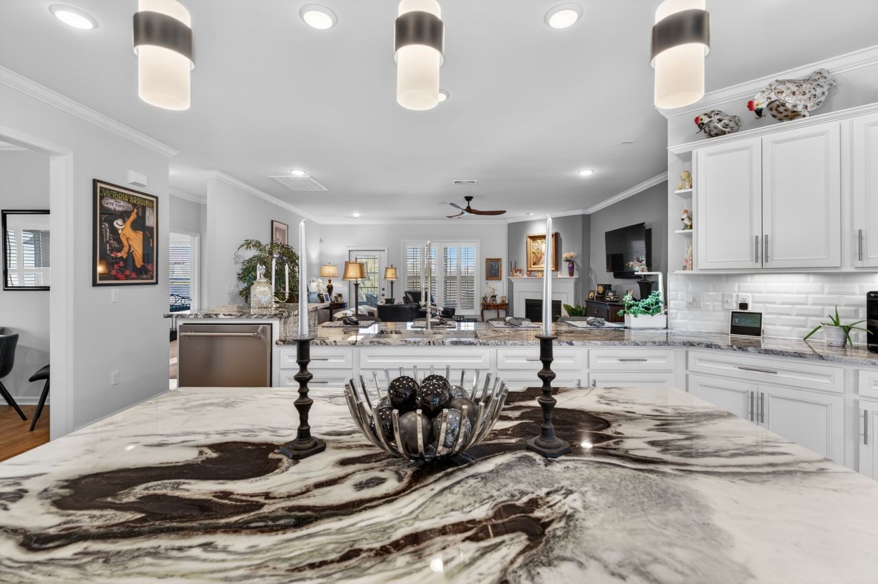 684 Overton Way Spring Hill, TN 37174 - Photo 12 of 86