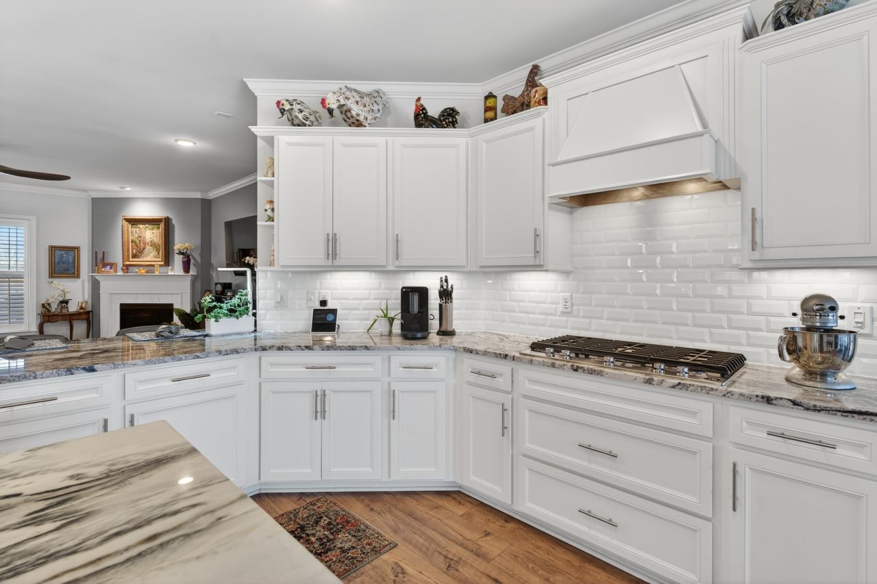 684 Overton Way Spring Hill, TN 37174 - Photo 10 of 86