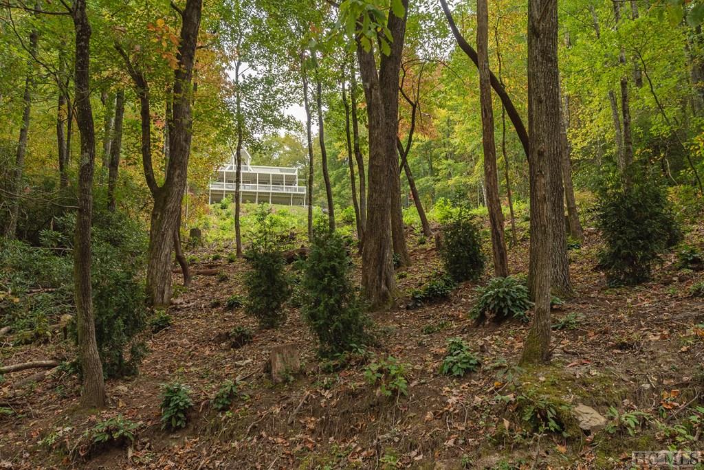 191 Panther Ridge Road Lake Toxaway, NC 28747 - Photo 45 of 46 Gallery Image 45