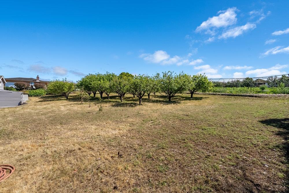 335 Calabasas Road Watsonville, CA 95076 - Photo 54 of 70 Gallery Image 54