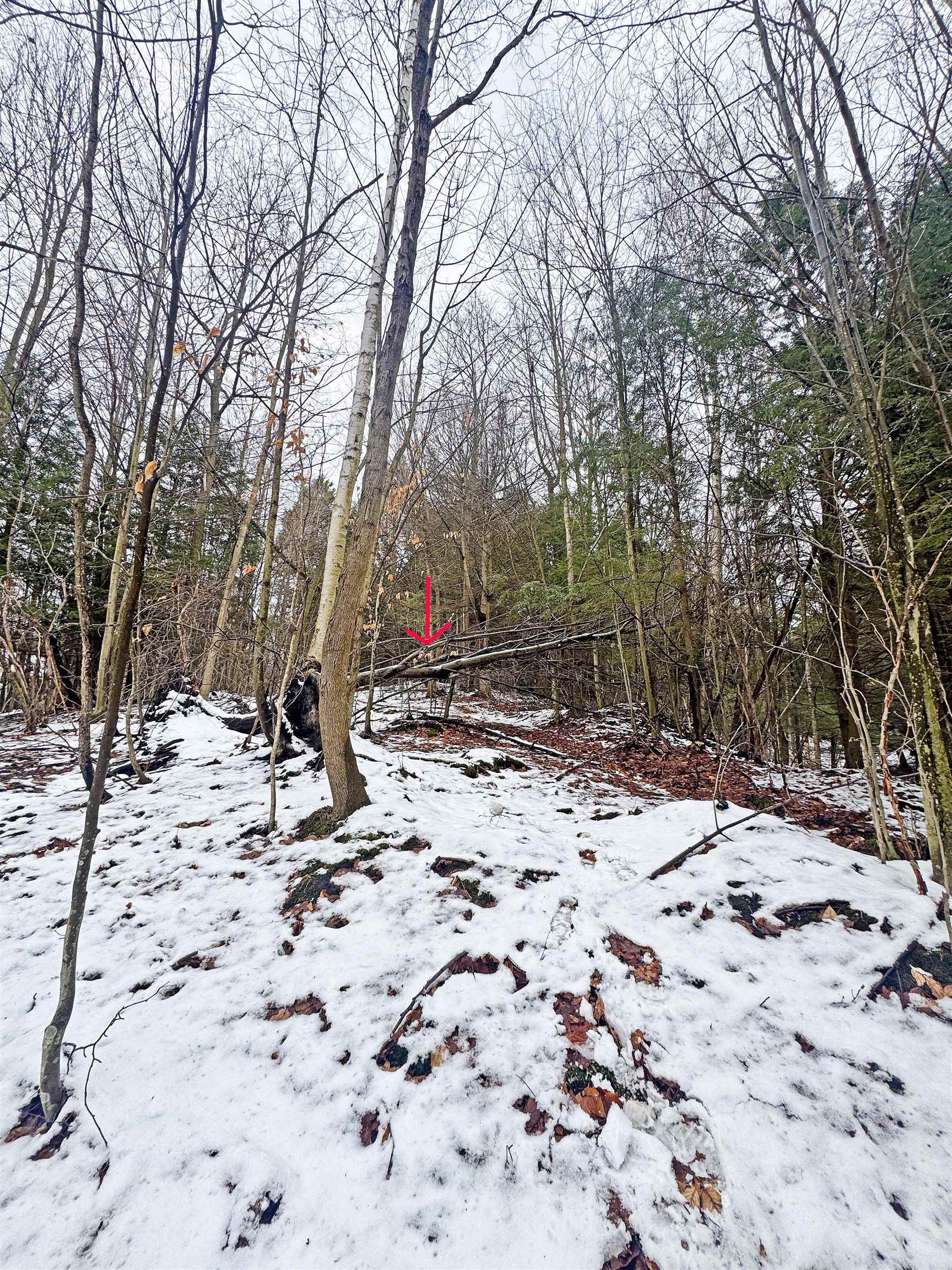 82-107 Moon Ridge Road, Unit LOT: 82,107 Onekama, MI 49675 - Photo 21 of 48
