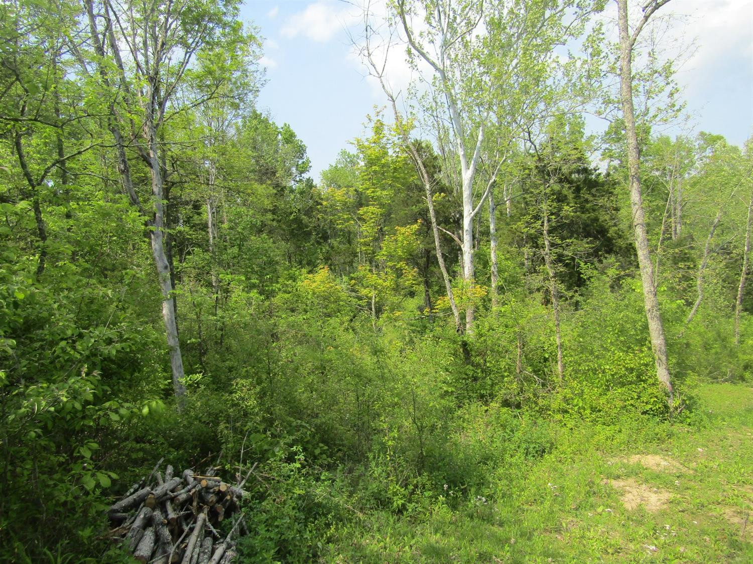 6740 Devils Hollow Road Frankfort, KY 40601 - Photo 2 of 2 Photo 2