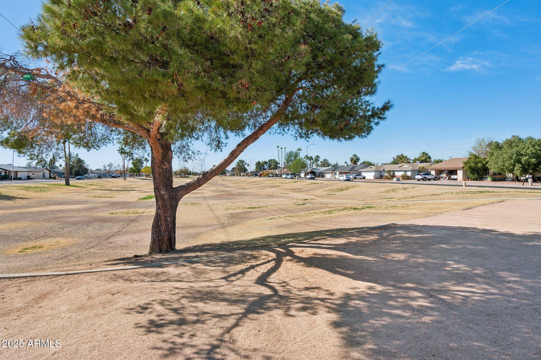 3202 East Decatur Street Mesa, AZ 85213 - Photo 25 of 51 Greenbelt in front of home!