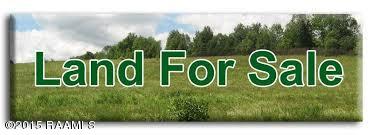 19621 Dillon Road Kaplan, LA 70548 - Photo 1 of 1 land for sale