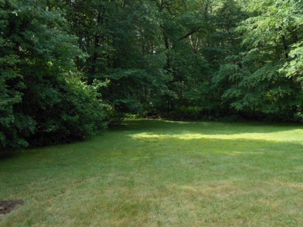 49 Lyndon Road Sharon, MA 02067 - Photo 16 of 16