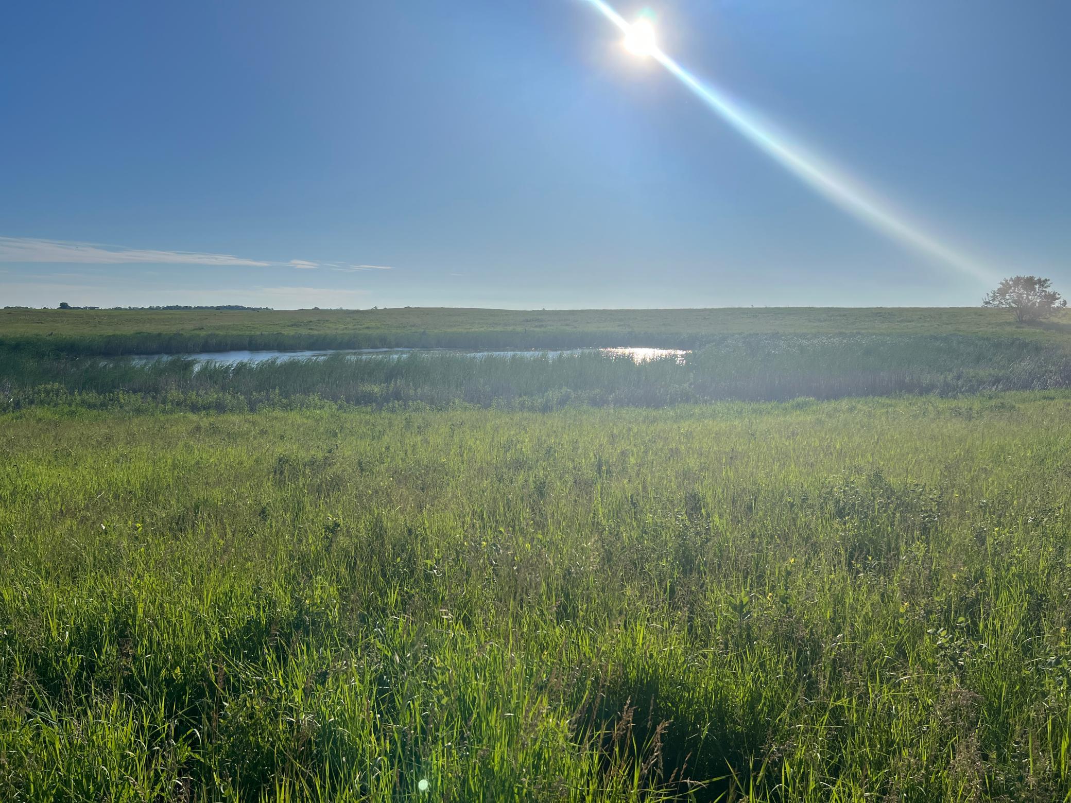 Tbd Southeast Tbd Se 90th Street Rutland, ND 58067 - Photo 24 of 105