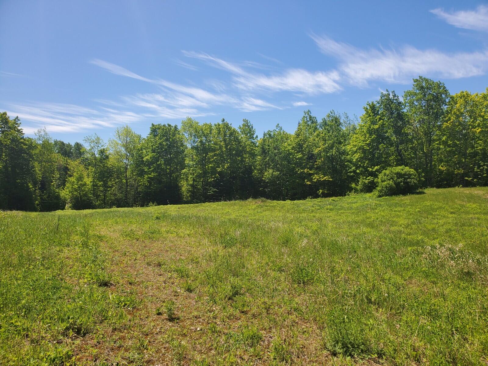 0 County Road New Limerick, ME 04761 - Photo 24 of 28 20220601_113615