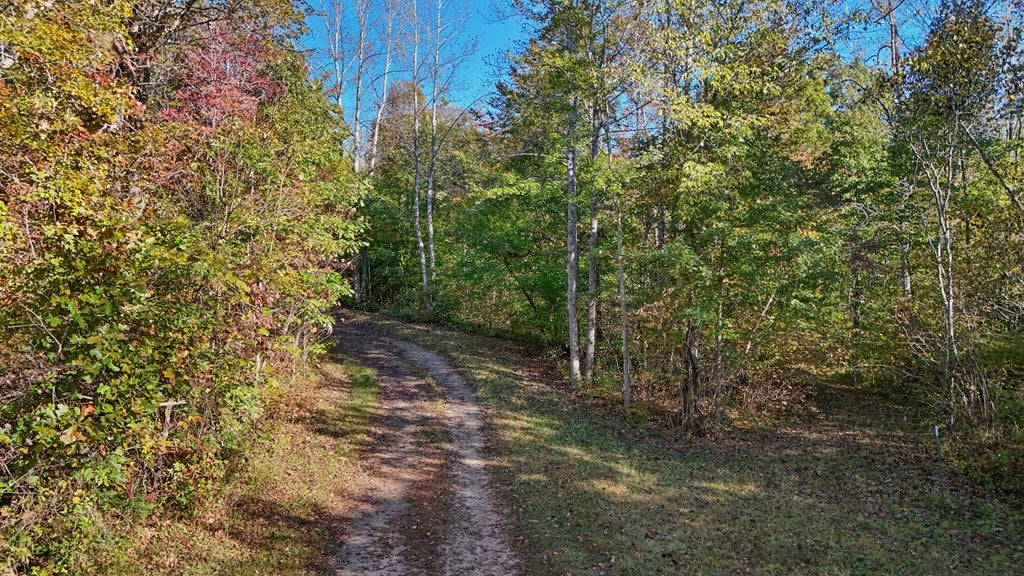 Allen Rosen Road Dillwyn, VA 23936 - Photo 10 of 13 Gallery Image 10