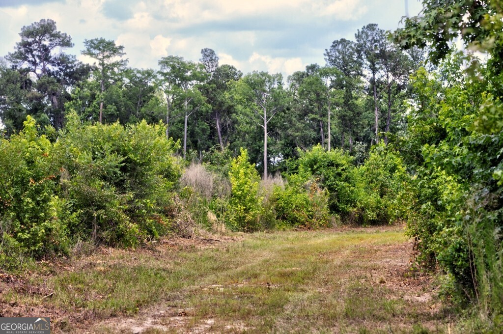 0 Highway 204 & Carlos Cowart Road Pembroke, GA 31321 - Photo 42 of 47