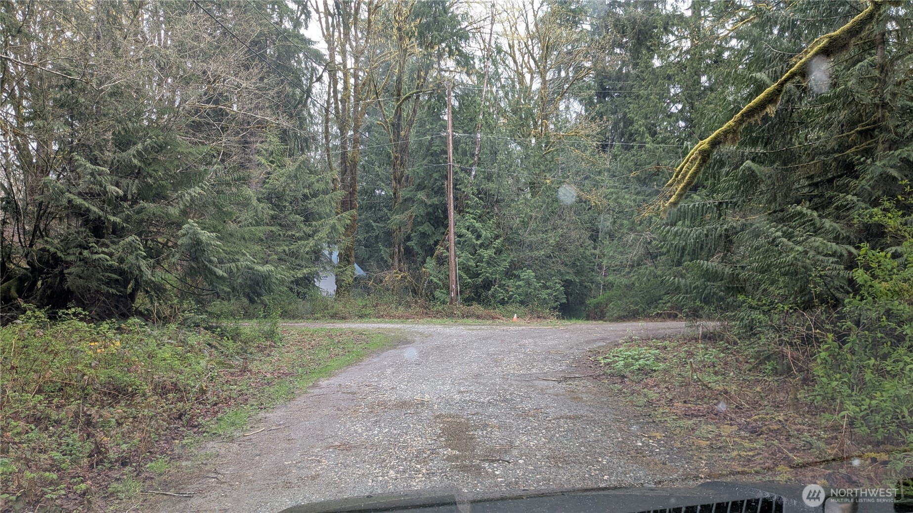 63602 Northeast 190th Street Gold Bar, WA 98251 - Photo 2 of 6 a view of a yard with a tree