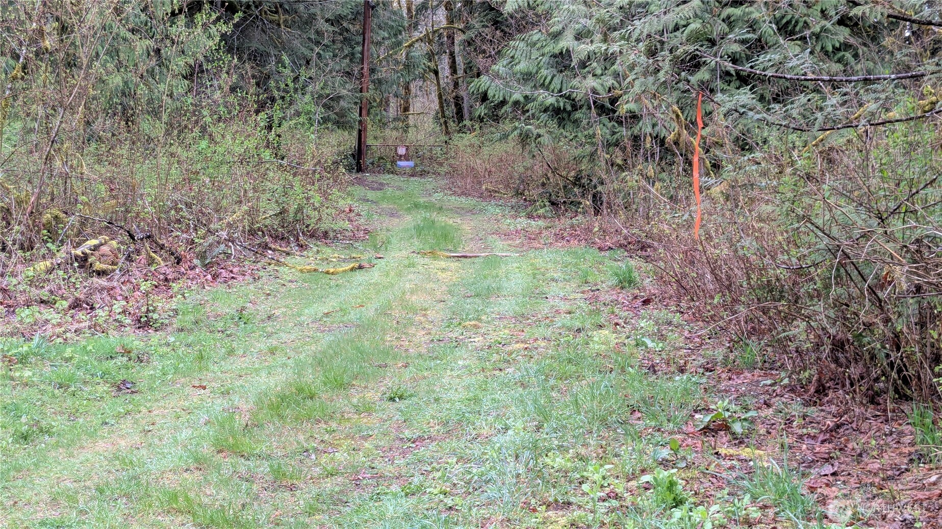 63602 Northeast 190th Street Gold Bar, WA 98251 - Photo 3 of 6 a big yard with lots of green space