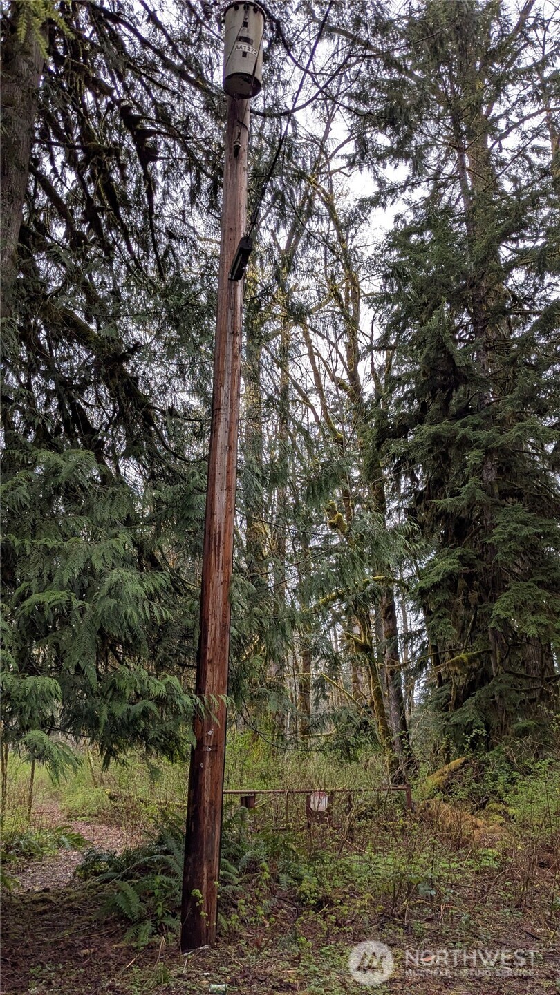63602 Northeast 190th Street Gold Bar, WA 98251 - Photo 6 of 6 a view of a forest with trees in the background