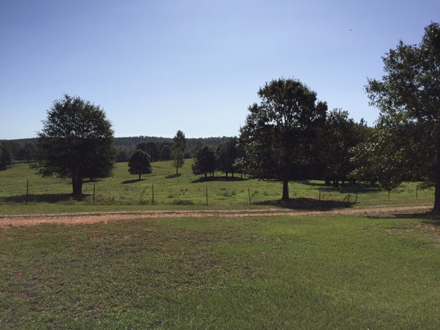409 Torbet Road, Unit 1A1 Forsyth, GA 31029 - Photo 18 of 29 a view of a golf course