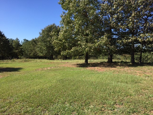 409 Torbet Road, Unit 1A1 Forsyth, GA 31029 - Photo 19 of 29 a view of a tree in a yard