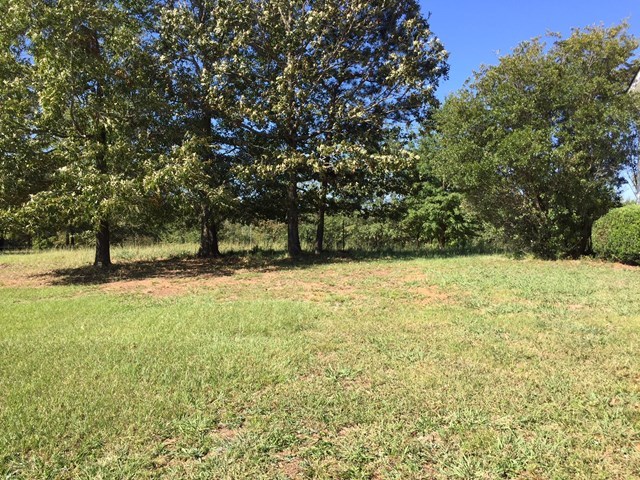 409 Torbet Road, Unit 1A1 Forsyth, GA 31029 - Photo 20 of 29 a view of yard with large trees