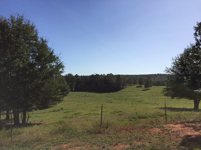 409 Torbet Road, Unit 1A1 Forsyth, GA 31029 - Photo 23 of 29 a view of a grassy area with an trees