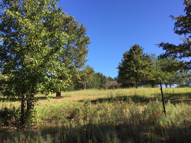 409 Torbet Road, Unit 1A1 Forsyth, GA 31029 - Photo 28 of 29 a view of lake with green space