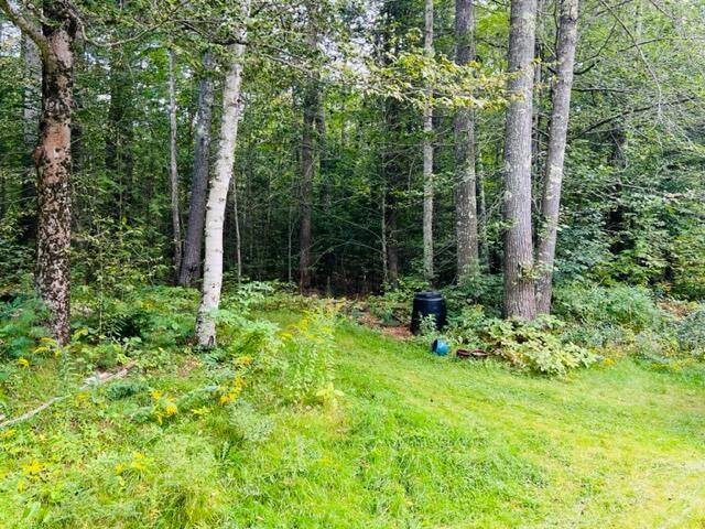 183 Pitcher Road Belfast, ME 04915 - Photo 28 of 39 IMG_7524