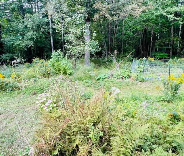 183 Pitcher Road Belfast, ME 04915 - Photo 32 of 39 IMG_7535