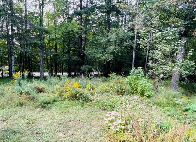 183 Pitcher Road Belfast, ME 04915 - Photo 39 of 39 IMG_7533