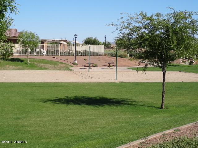 3299 East Franklin Avenue Gilbert, AZ 85295 - Photo 13 of 37 023-324396 COMMON GROUND AREA