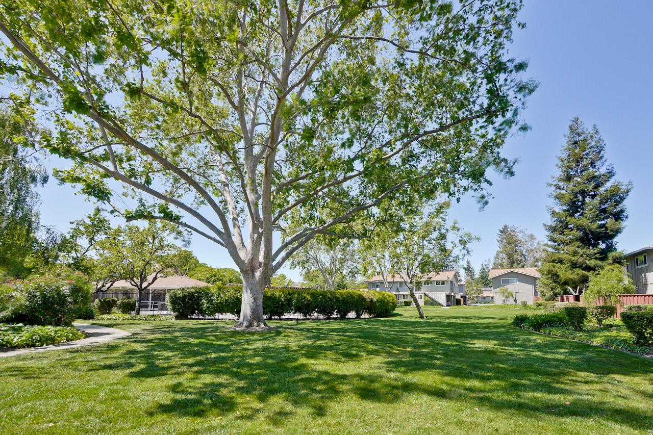 1133 Reed Avenue, Unit B Sunnyvale, CA 94086 - Photo 20 of 33
