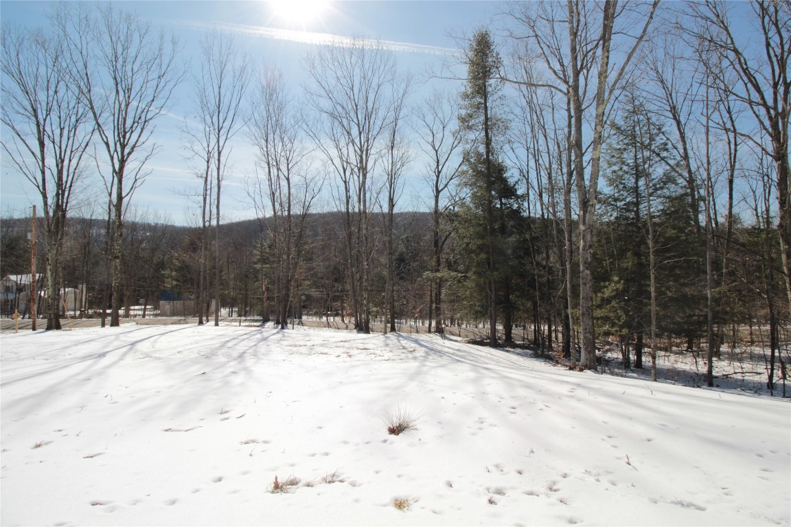 475 Dunbar Road Windsor, NY 13865 - Photo 32 of 34