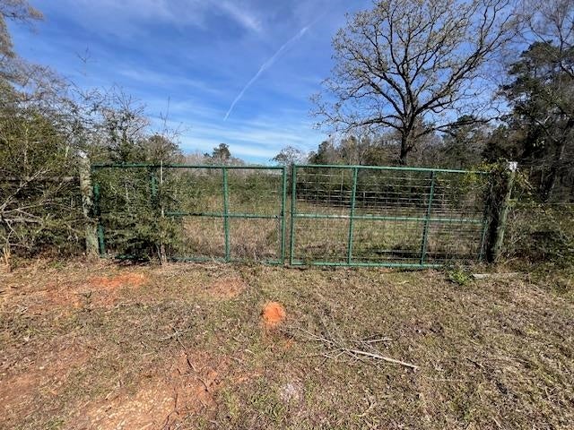 18-ac Potter Road Opp, AL 36467 - Photo 2 of 12 Gallery Image 2