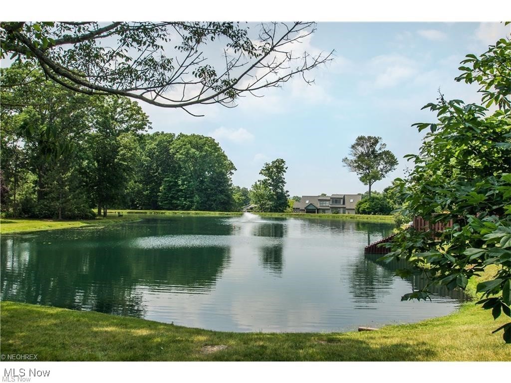 1026 Canyon View Road Northfield, OH 44067 - Photo 44 of 47 Community Pond