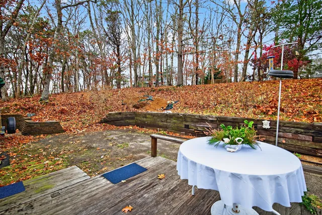 a view of a backyard