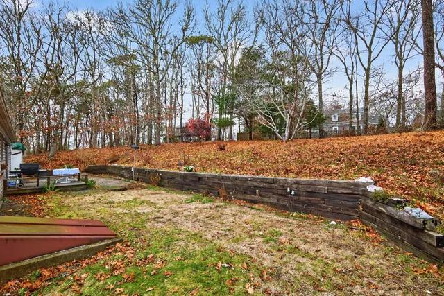 a view of a yard with trees