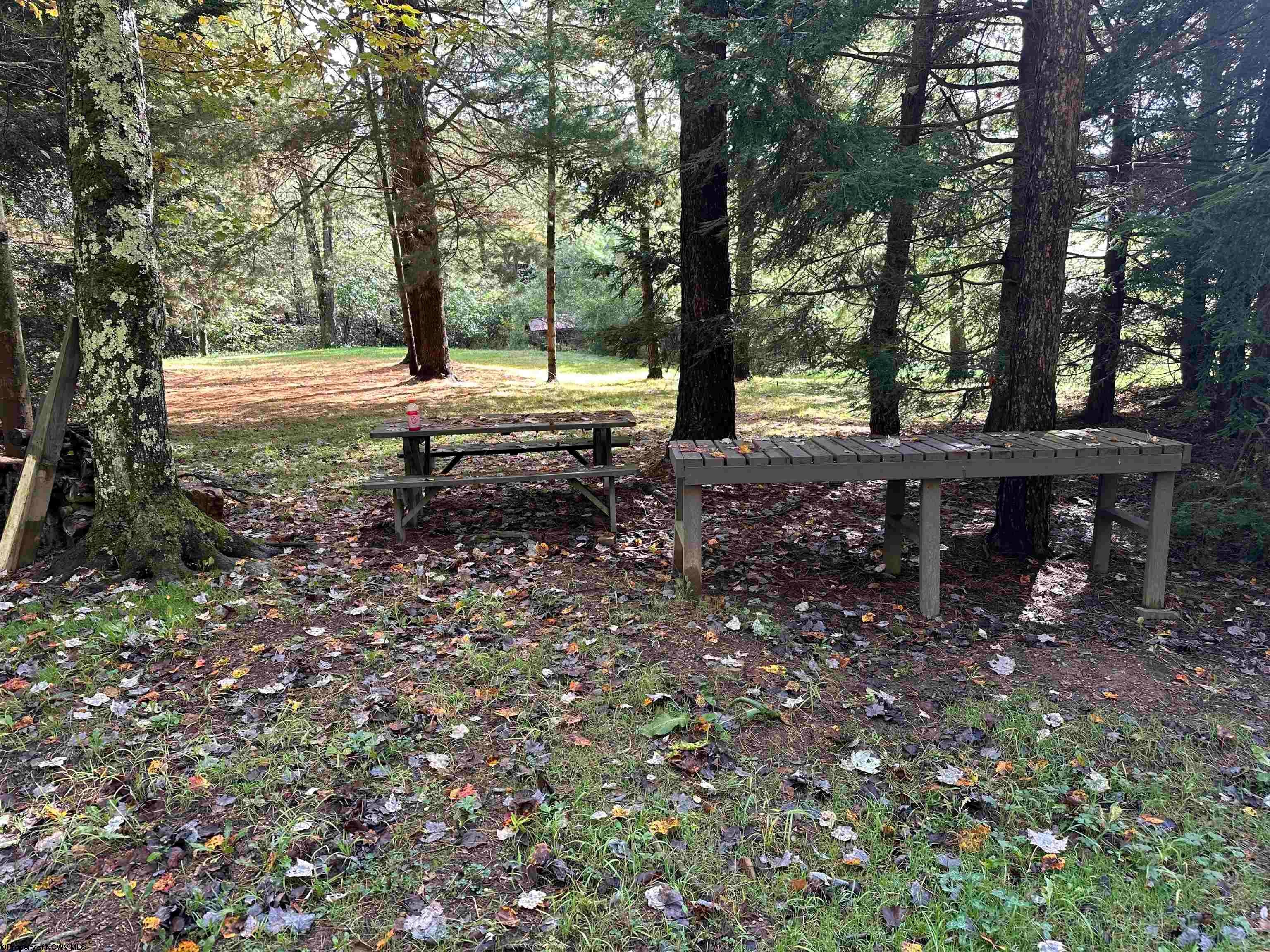 6289 Cranesville Road Terra Alta, WV 26764 - Photo 20 of 49 Gallery Image 20