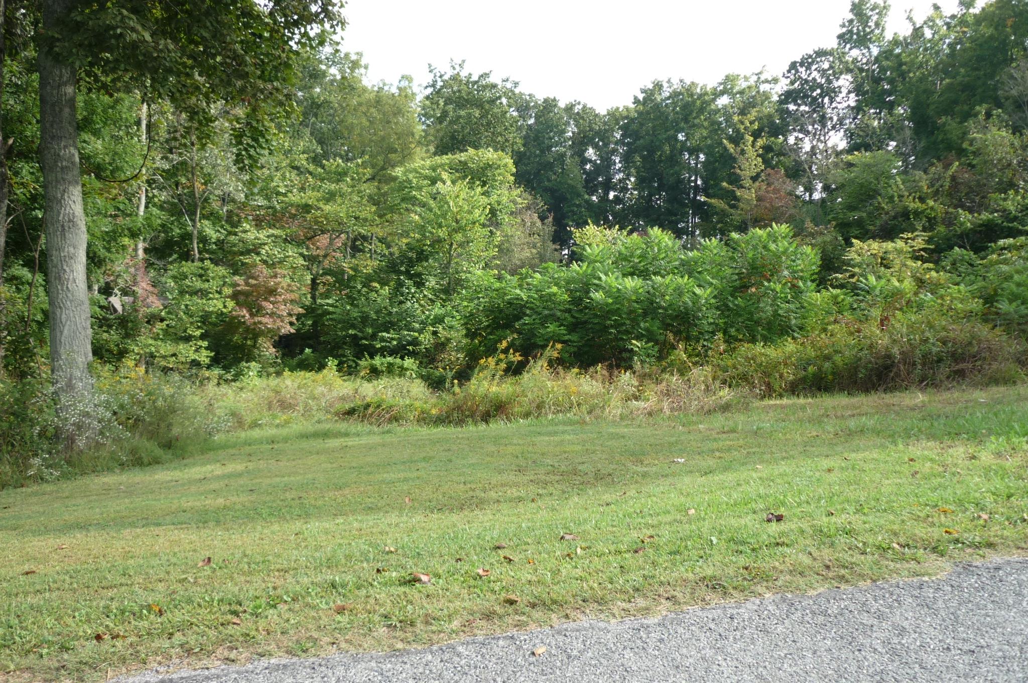 1.78-ac Fox Hunter Road Maynardville, TN 37807 - Photo 1 of 4 front of lot