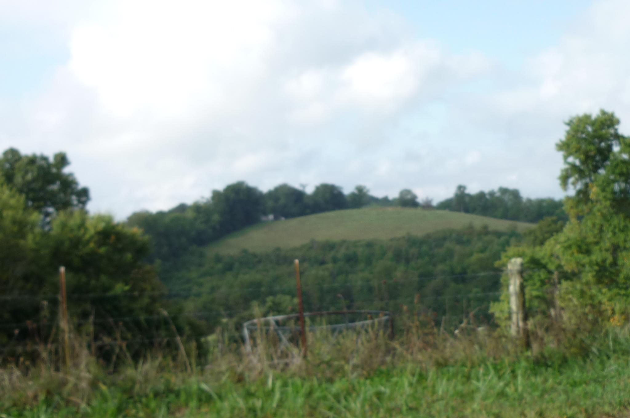 1.78-ac Fox Hunter Road Maynardville, TN 37807 - Photo 3 of 4 view from front of lot