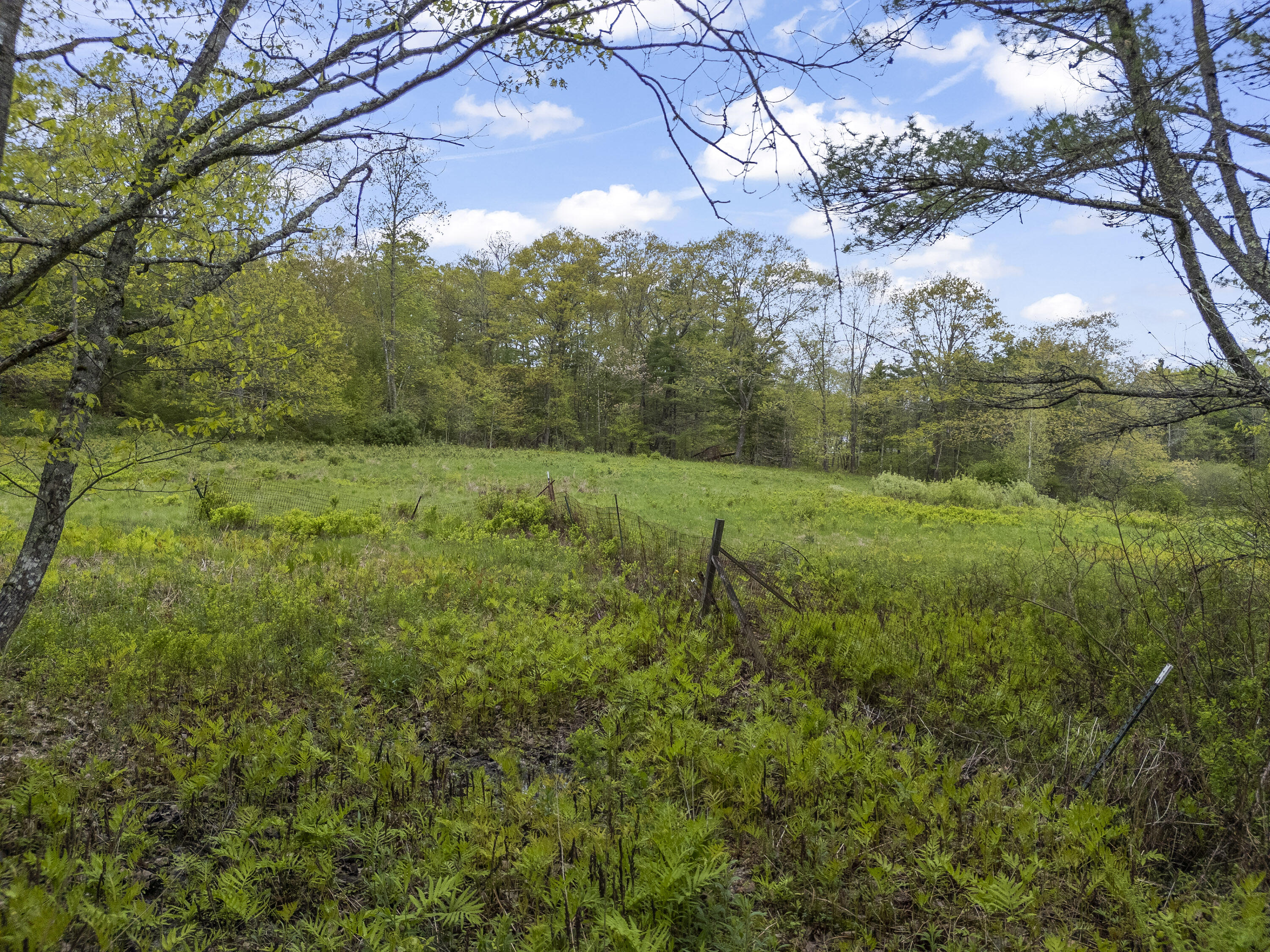 0 George Wright Road Woolwich, ME 04579 - Photo 15 of 21 0 George Wright Rd_114