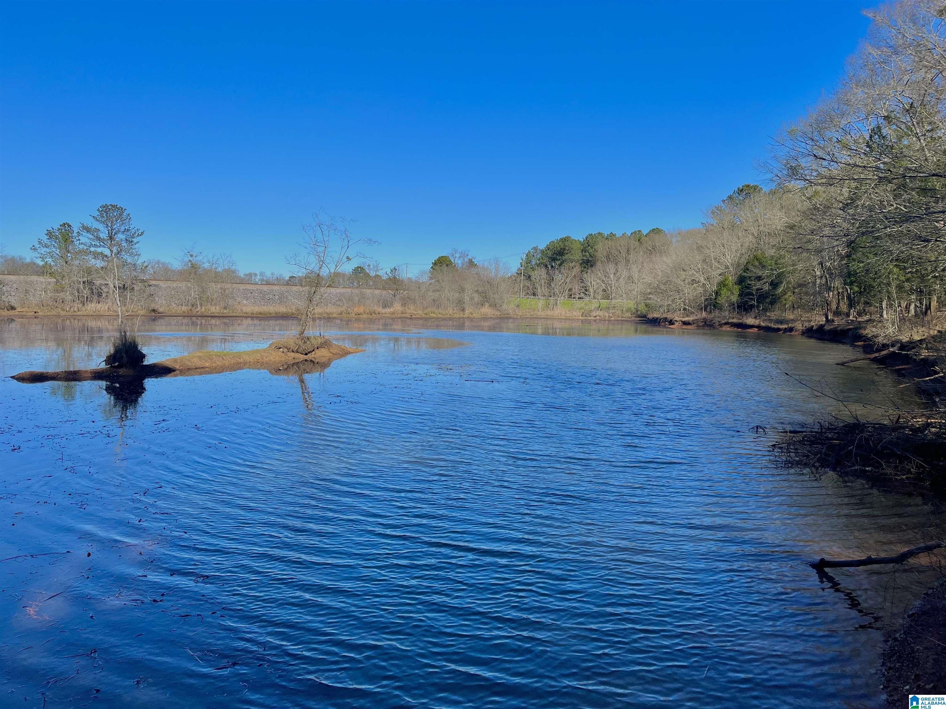 78 Highway Riverside, AL 35135 - Photo 9 of 23