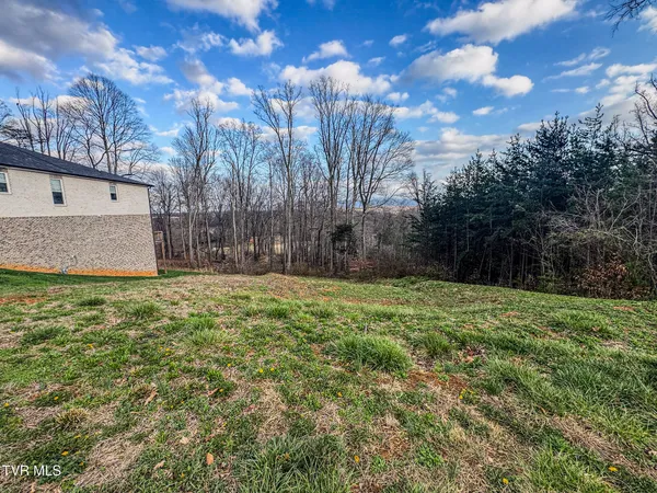 $55,000 | Lot 49 English Ivy Trail, Unit 49, Jonesborough, TN 37659