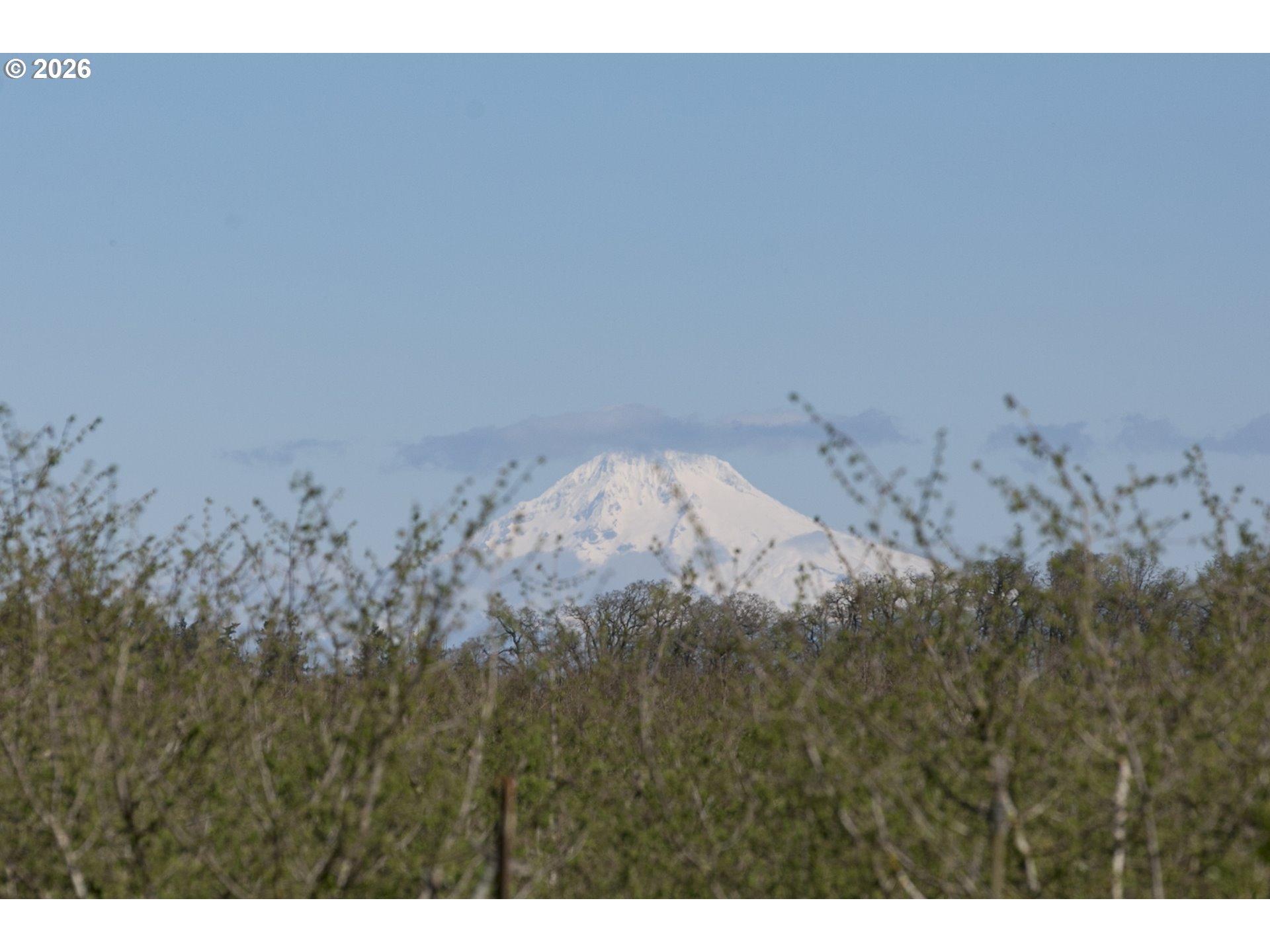 10418 Champoeg Road Northeast Aurora, OR 97002 - Photo 2 of 44