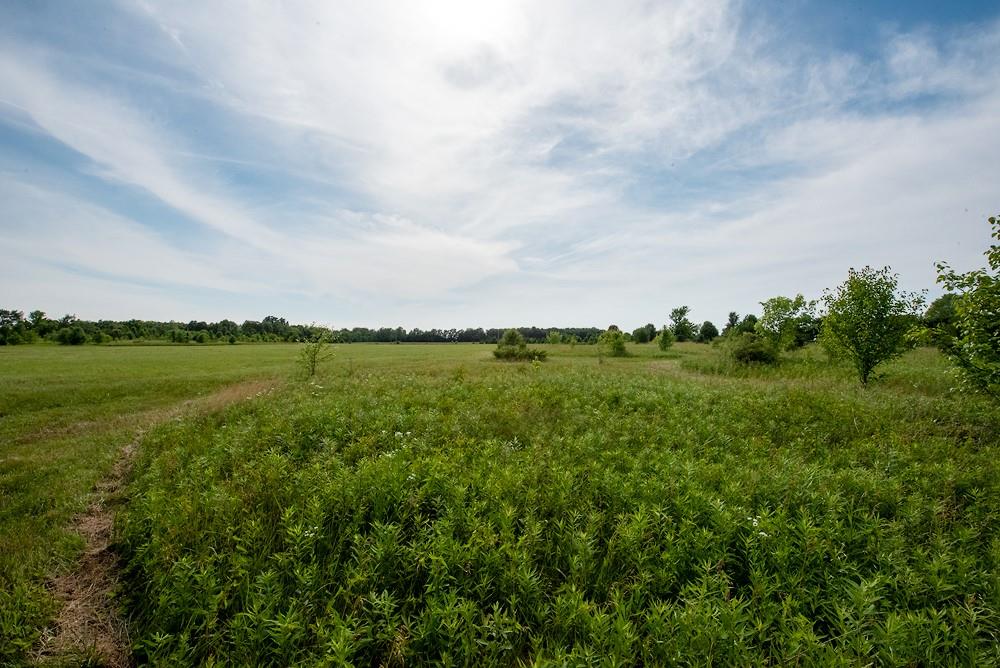 19123 Mule Barn Road Westfield, IN 46074 - Photo 33 of 38 Gallery Image 33