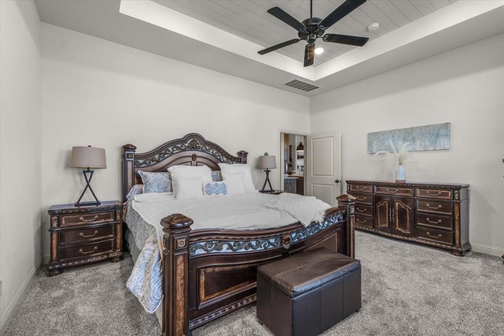 329 Palo Alto Drive Springtown, TX 76082 - Photo 15 of 34 Primary bedroom featuring a tray ceiling with shiplap detail