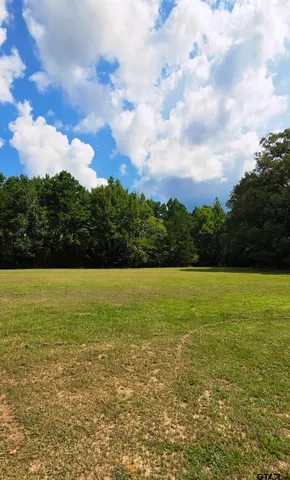 a view of an ocean and beach