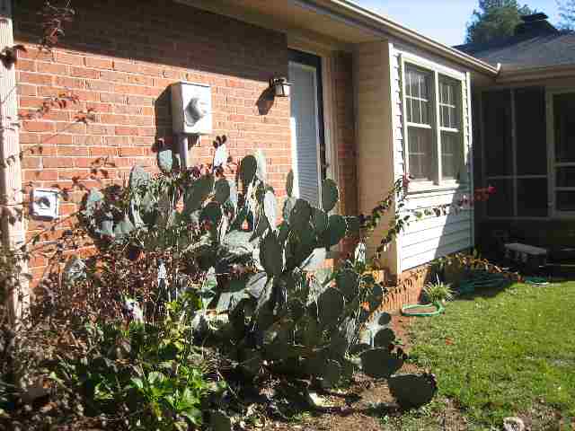205 Bransfield Road, Unit EASTSIDE Greenville, SC 29615 - Photo 11 of 13 Gallery Image 11