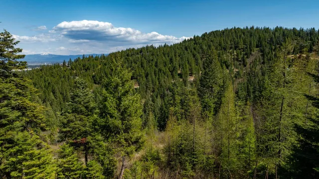 $650,000 | 11817 West Garrett Court, Post Falls, ID 83854