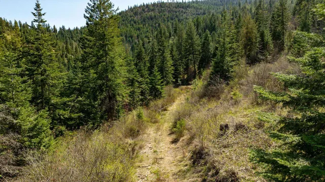 $650,000 | 11817 West Garrett Court, Post Falls, ID 83854