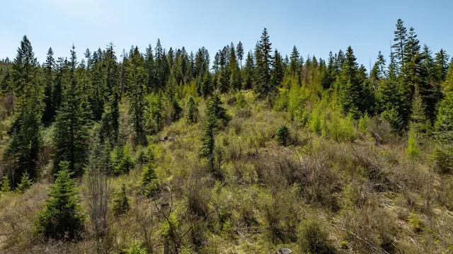 $650,000 | 11817 West Garrett Court, Post Falls, ID 83854