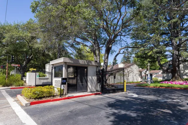 a view of house with yard and a large tree