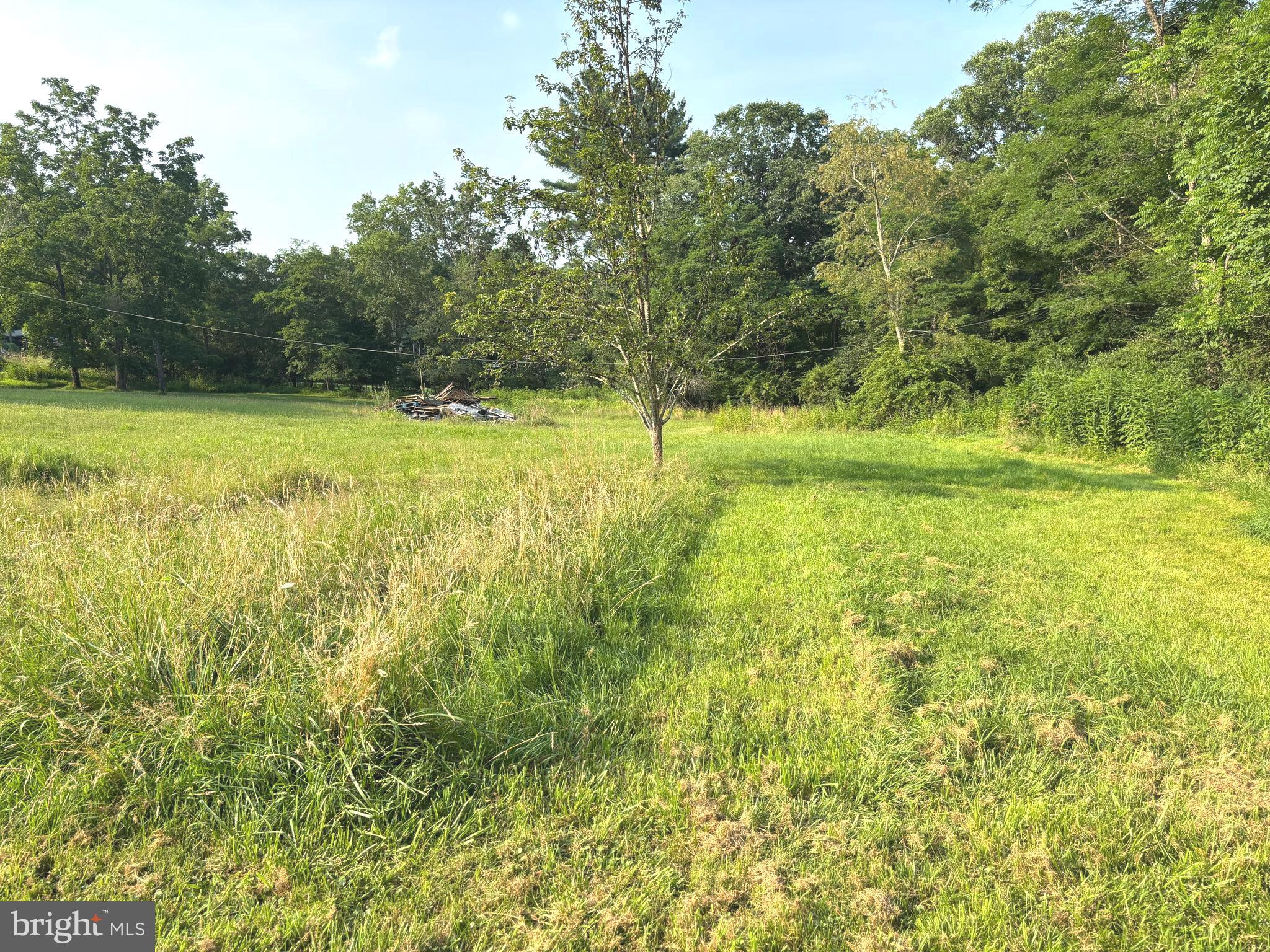 2600 Middle Cove Road Mathias, WV 26812 - Photo 26 of 30 a view of a yard with an outdoor space