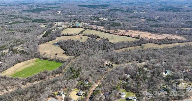 a view of a dry yard with large trees