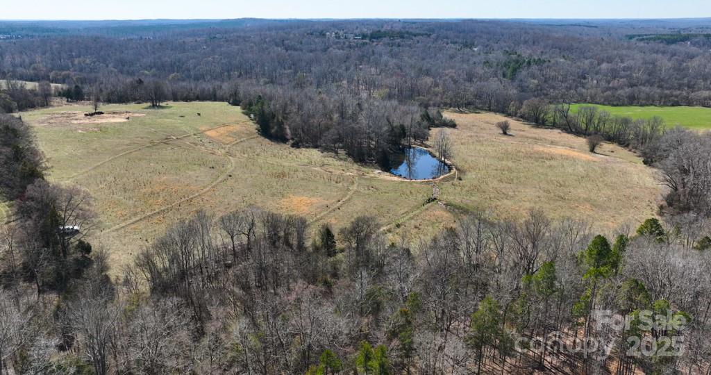 3400 Biggers Road Concord, NC 28025 - Photo 9 of 21 a view of a dry yard with trees